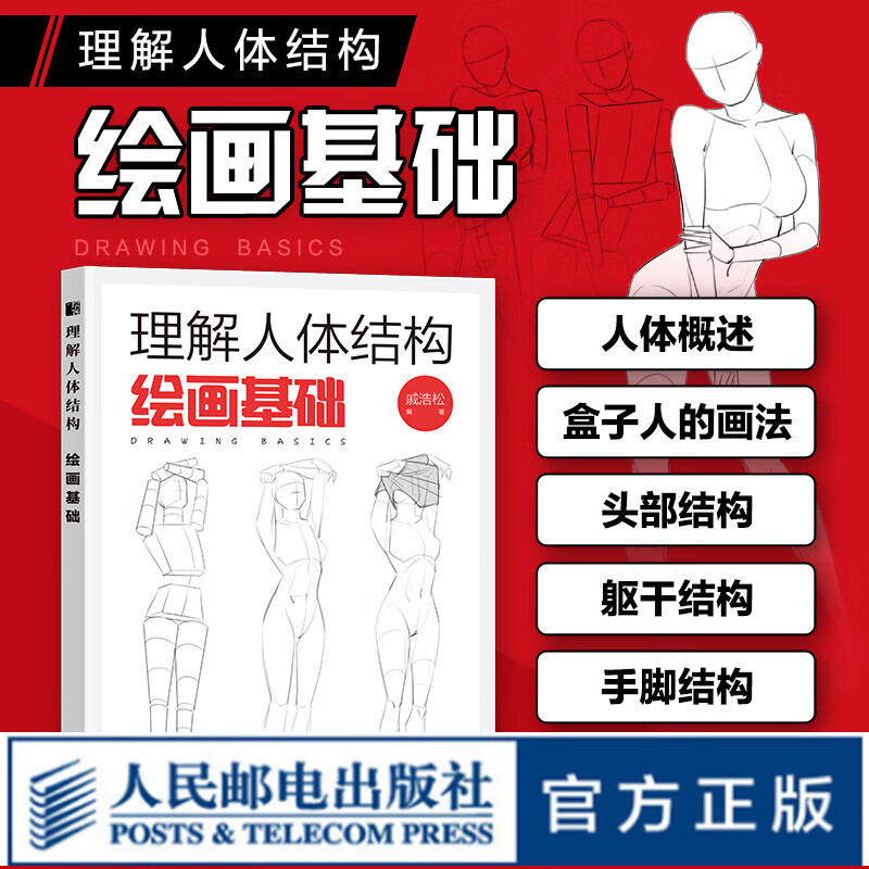 理解人体结构 绘画基础 人体结构绘画教学