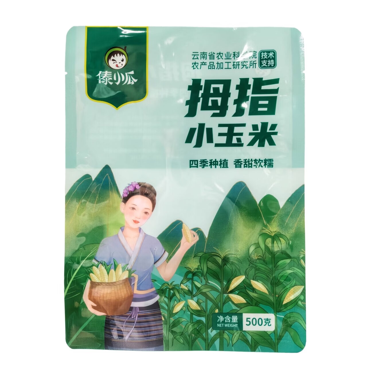 彩云之南西双版纳白拇指小玉米自然生长新鲜现摘现发燕麦真空包装 白拇指小玉米500克/袋 （普通箱）