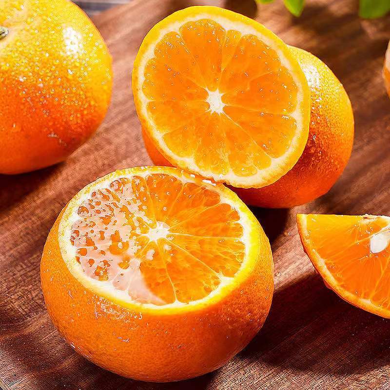 uncle lemon高山沃柑新鲜薄皮四川特产当季柑橘子现摘果园现摘甜多汁产地直发 【大果】果径60-70mm，头茬，试吃尝鲜 带箱9斤