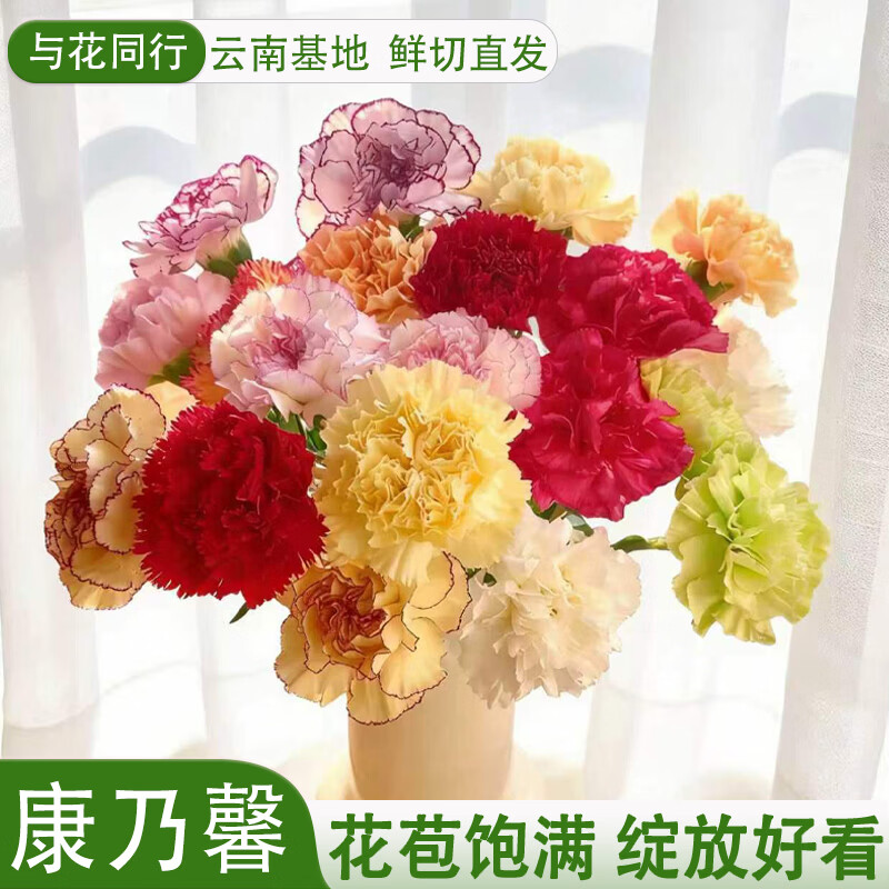 与花同行随机单色康乃馨20枝仅需12.99元