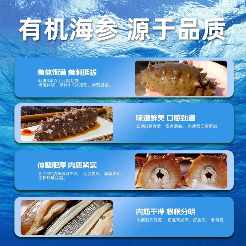 鑫玉龙有机即食海参正宗大连辽参鲜食辽刺参海鲜水产 固体物含量≥85% 【量贩装】有机海参3斤42头