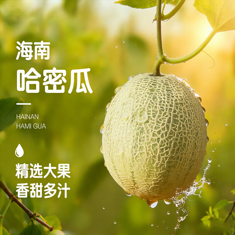 京觅海南西州蜜25号哈密瓜净重4-5斤 19.9元 - 线报酷