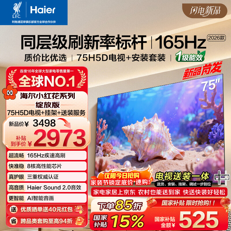 海尔包安装版【固定挂架送装一体】电视75H5D 75英寸 8核 165Hz 110%  64GB 游戏护眼1级能效H5C升级版