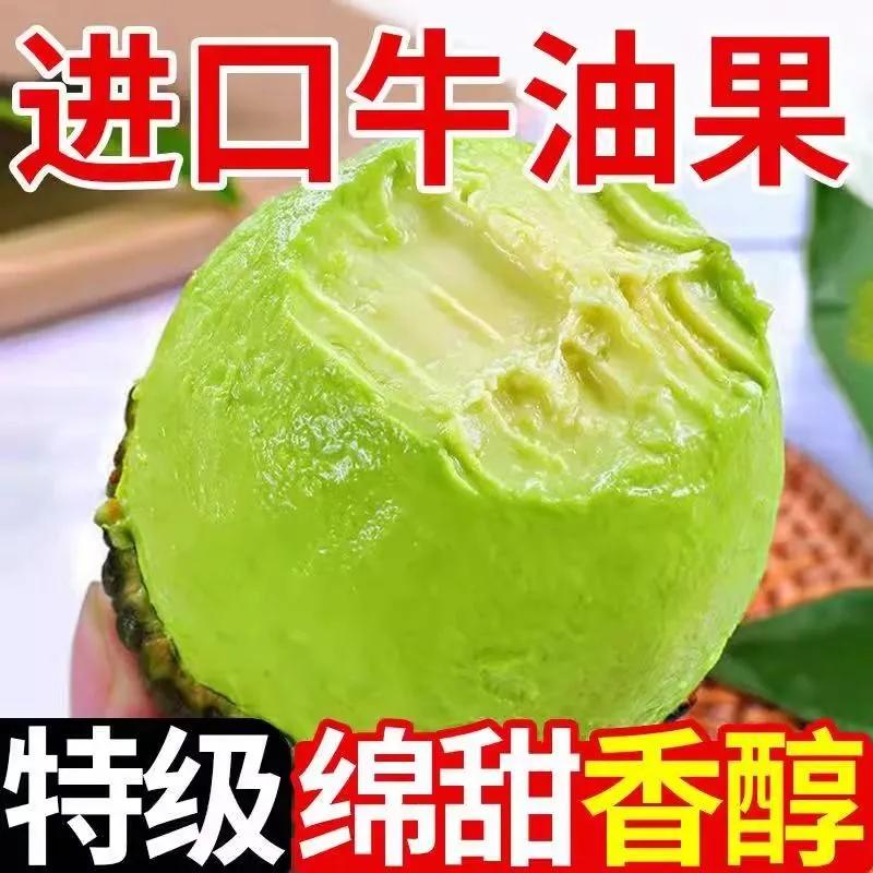 御红橙绿【超特价】秘鲁哈斯进口牛油果宝宝辅食鳄梨速发新鲜水果批发包邮 中果【单果100-130g】果子小 6个 送酱料包