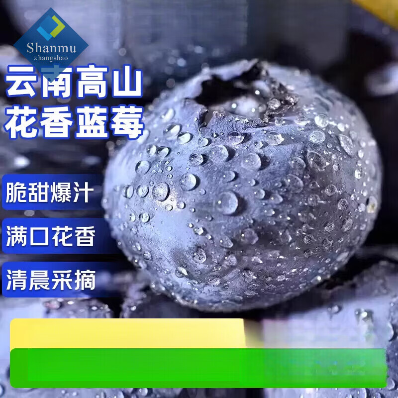 山姆同款云南高山花香蓝莓应当季新鲜水果特大果礼盒整箱 4盒 中果 【15mm】单盒115g