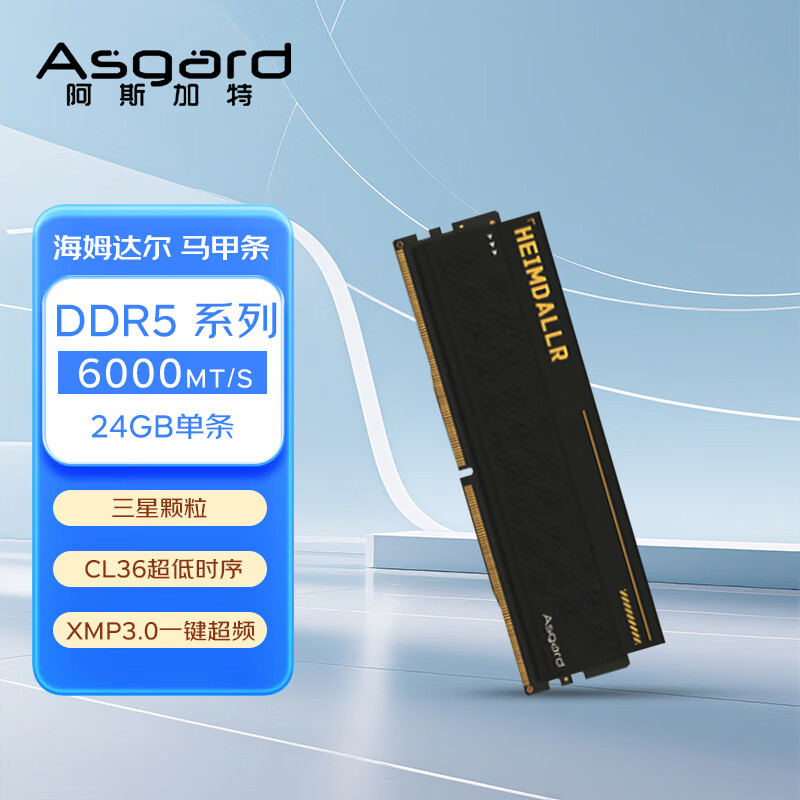 asgard/��˹���� ��ķ��� DDR5  6000MHz �ڴ��� 24G 1599Ԫ
