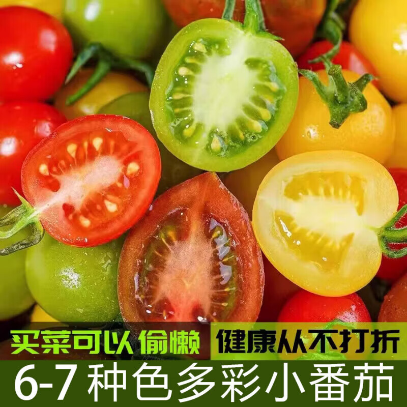 山东七彩新鲜现摘现发彩色小柿子清甜多汁圣女果混合装水果 顺丰3斤装