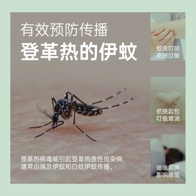 榄菊加大盘40单圈艾草清香型户外家用防蚊长效驱蚊盘香黑蚊香 榄菊艾草40盘*1筒
