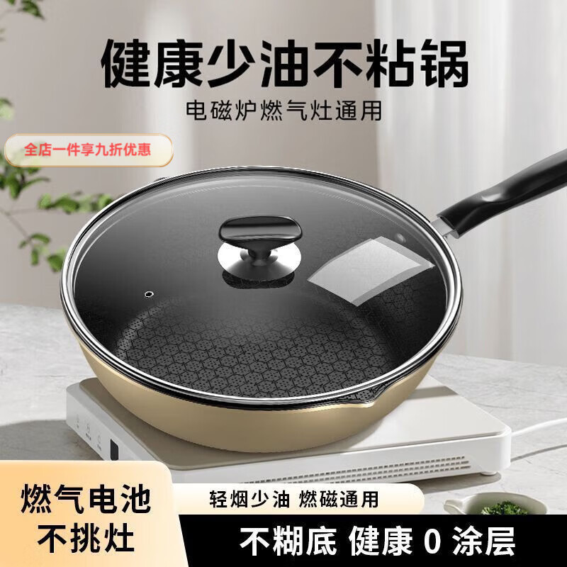 兰琦欧煎炒两用炒锅不粘锅家用炒菜锅多功能平底锅电磁炉燃气灶煤气 单锅不带盖 1寸 26cm