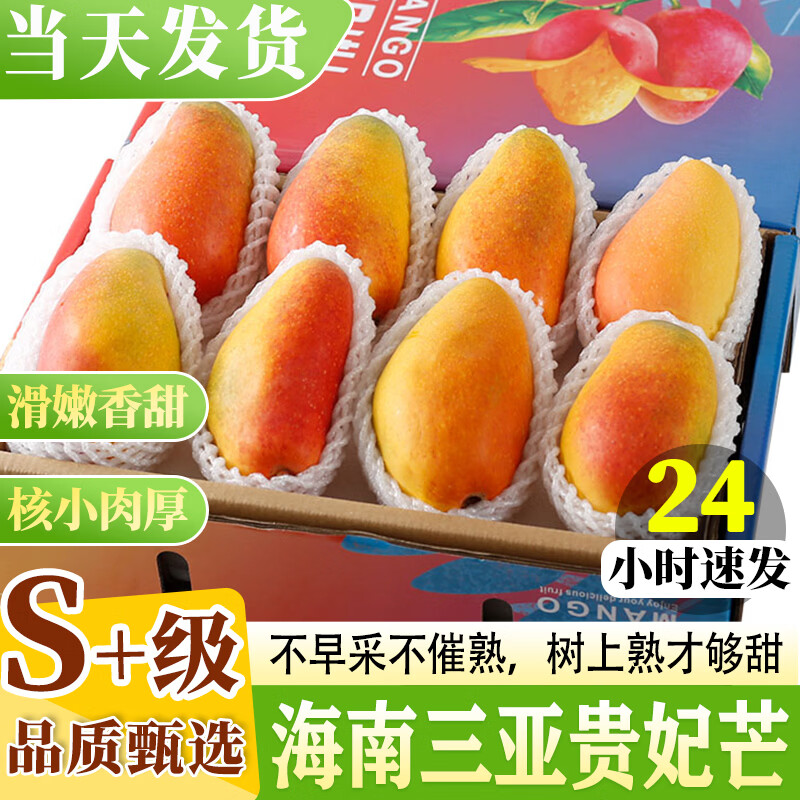 小筑倾橙海南三亚贵妃芒正宗红金龙树上熟薄核芒果新鲜水果礼盒整箱 9.5-10斤带箱特大果【单果250-400g】