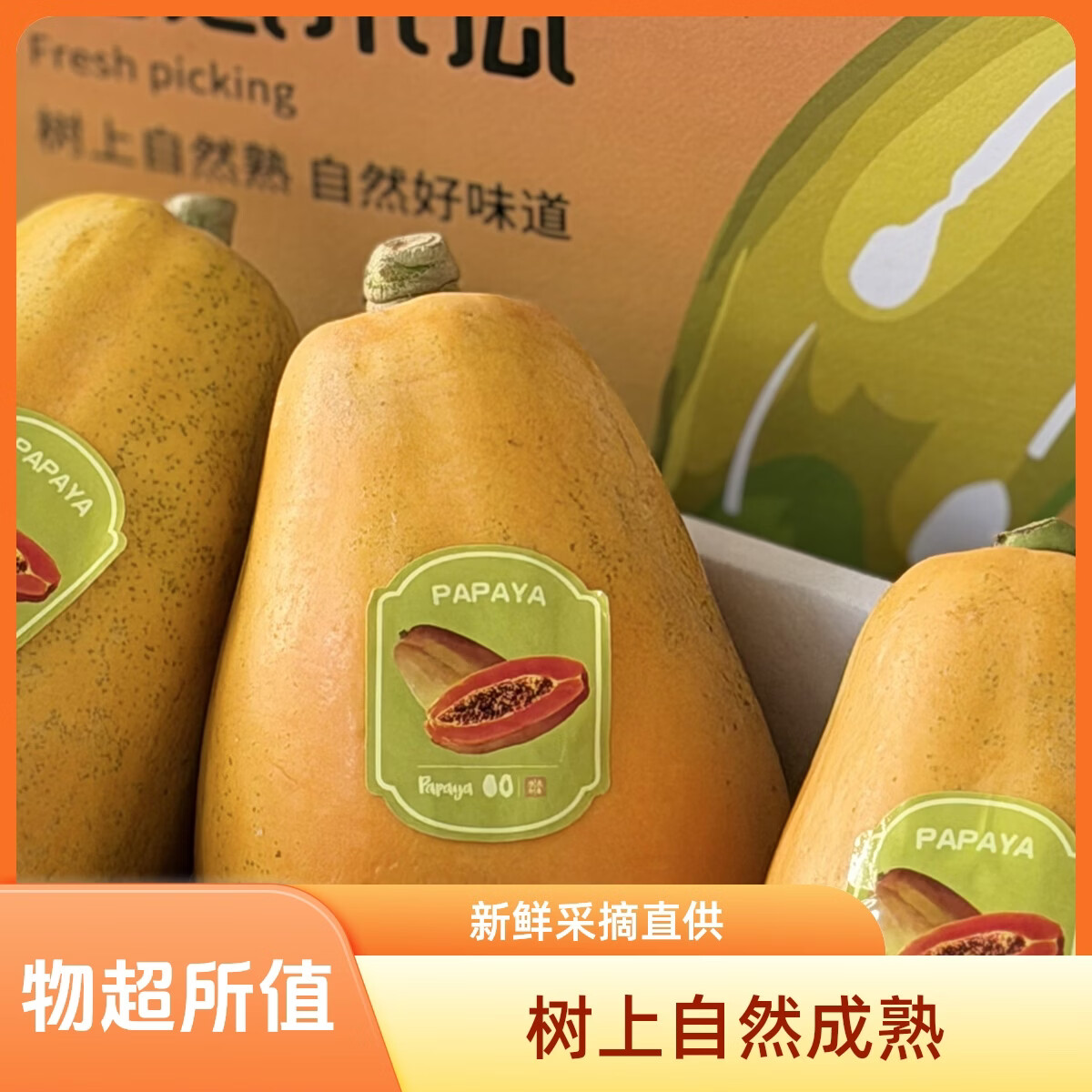 ［顺丰到家］海南三亚当季特级真树熟红心牛奶木瓜水果香甜软糯 净重4.8-5.2斤真树熟特级果（大果2-3个）孕妇可食