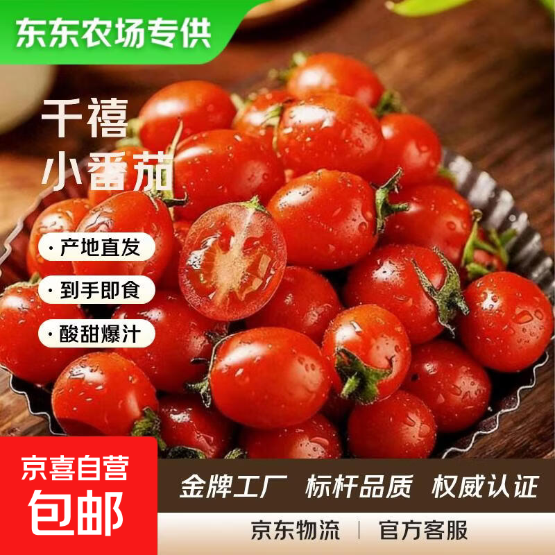 【东东农场专供】正宗千禧小番茄水果圣女果即食现摘现发带箱 千禧小番茄 2斤 带箱