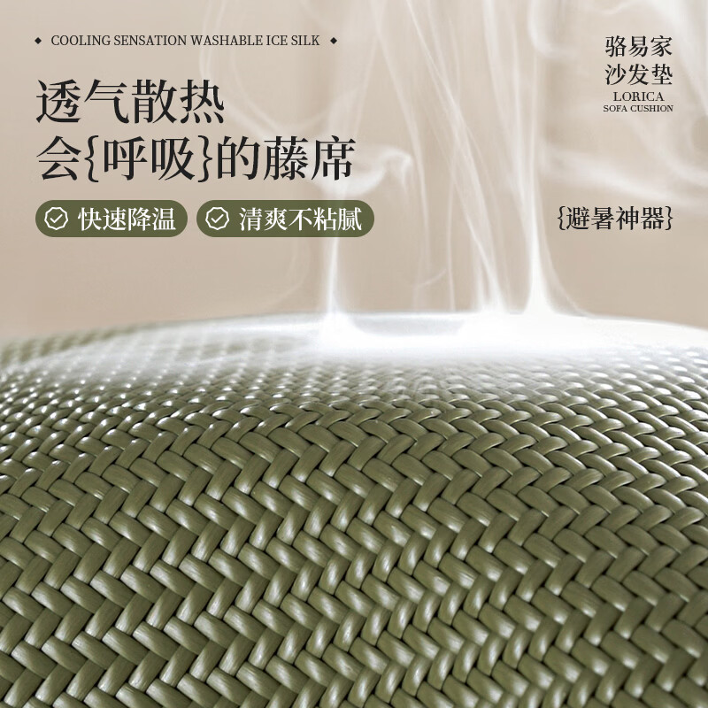 骆易家(Lorica)夏季皮沙发专用凉席垫新款防滑藤席透气2026轻奢高级感盖巾 陌野-绿色【清凉PE凉藤垫】 定制专拍(详情请咨询客服)