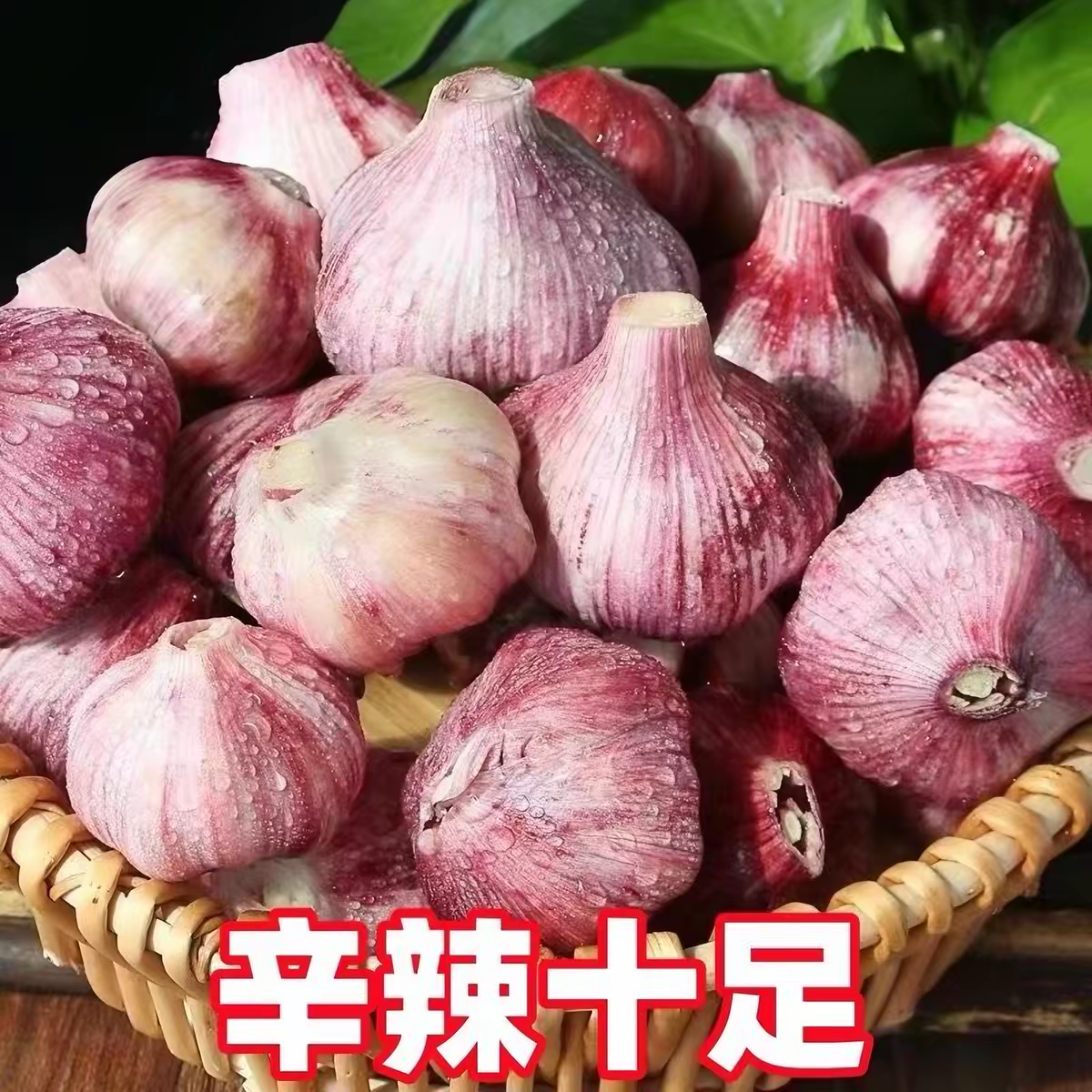 康田汇 陕西大蒜头现挖新蒜白紫皮大蒜批发鲜蒜红皮蒜可做糖醋湿蒜 2斤精选装单果4-5CMM净重1.5斤 源头直发