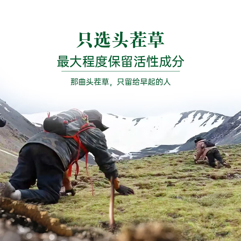 藏汐堂西藏那曲野生冬虫夏草 新干虫草 送长辈领导滋补品营养品 礼盒装 3根/克 60根*1盒 共20克【甄选量装】