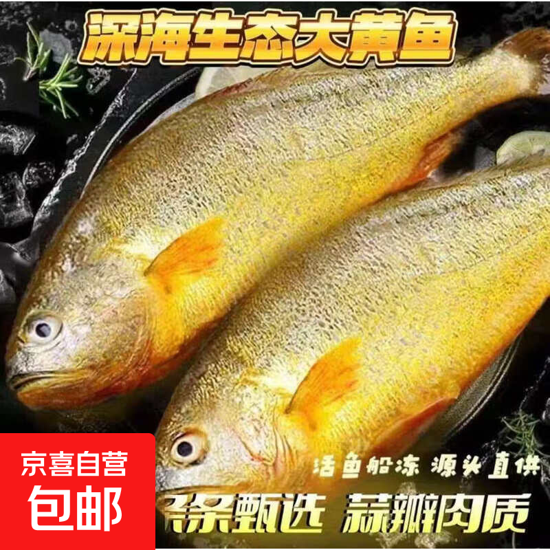黄鱼黄花鱼东海天然野生新鲜海捕无添加速冻锁鲜海产品生鲜鱼类 4-5两/4条净重