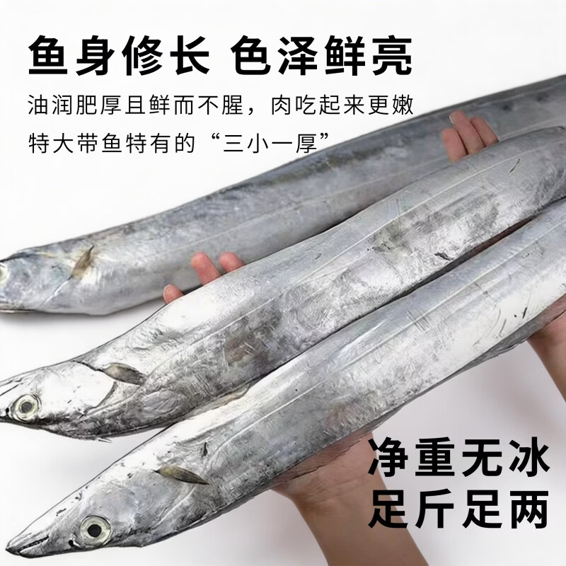 源外园  东海钓带鱼 新鲜船冻特级大钓带鱼整箱大号整条生鲜 鱼类带鱼 3斤无冰带鱼【新鲜饱满】 【4-6两/条】精选黑眼带鱼