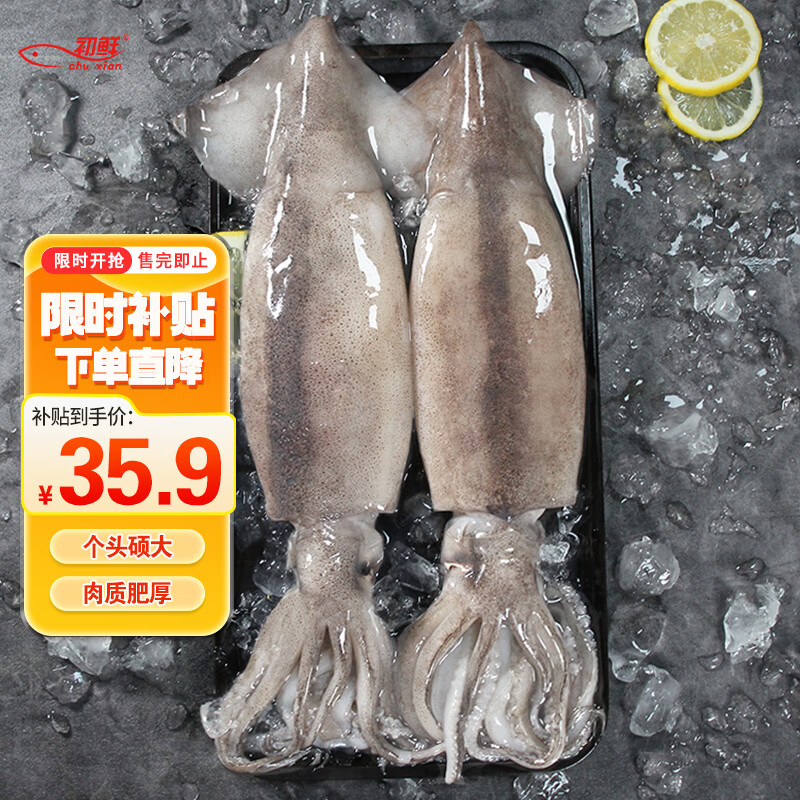 初鲜鲜冻大鱿鱼2-4条净重1.2-1.3斤 铁板鱿鱼火锅烧烤食材 软足类送礼