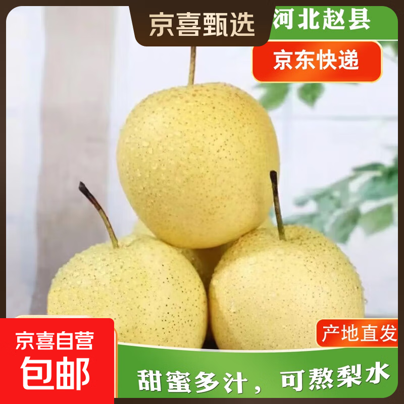 赵县雪花梨正宗河北赵县雪花梨新鲜水果产地直发新3 带箱2斤净重1.6-1.8斤