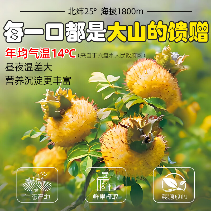康小农有机刺梨汁原液官方旗舰店高VC原浆100%刺梨NFC原汁原液果汁饮料 10盒 【共6000ml】120瓶【囤货装】