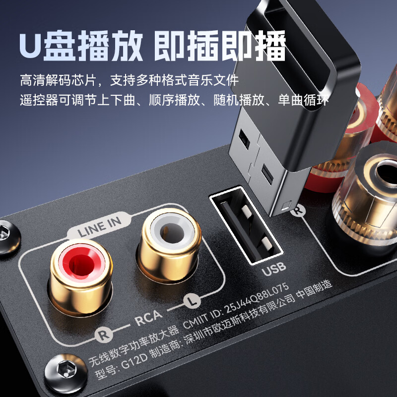 雷翼(RAYEE）5.3蓝牙功放机100W*2大功率立体声迷你家用数字功率放大器话筒唱歌无损U盘播放高低音调节 【蓝牙5.3】配24V5A电源+双话筒