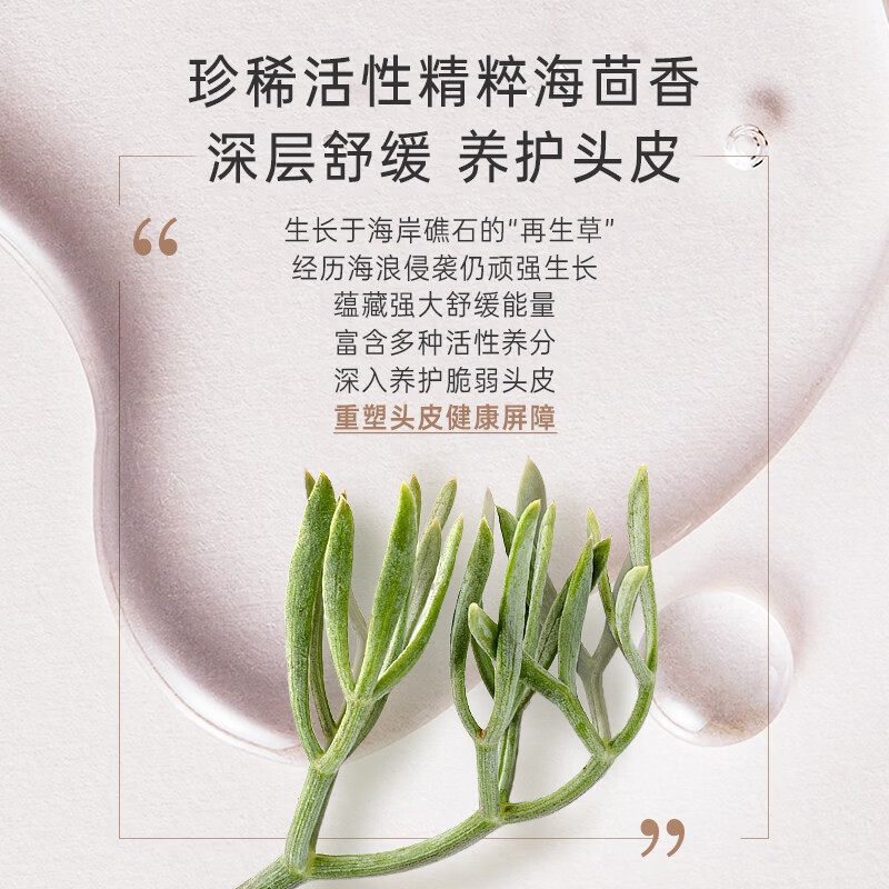 图 6