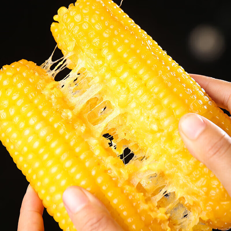 源惠鲜礼2025东北新黄糯玉米白糯玉米东北糯玉米软糯香甜低脂粗粮代餐大棒 2025新东北黄糯玉米 250-270g*10棒