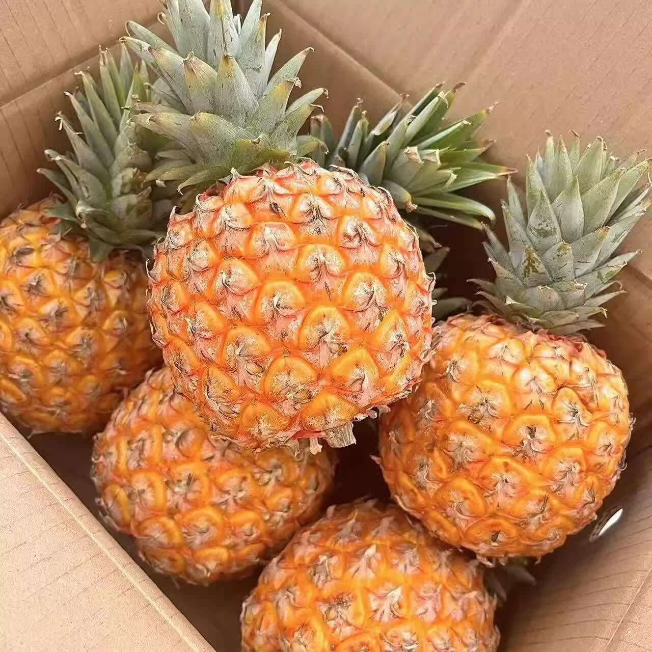 机林有果【树上熟】海南芒果凤梨新鲜热带水果芒果味菠萝特产整箱礼盒 5斤精选中果【2-4个】