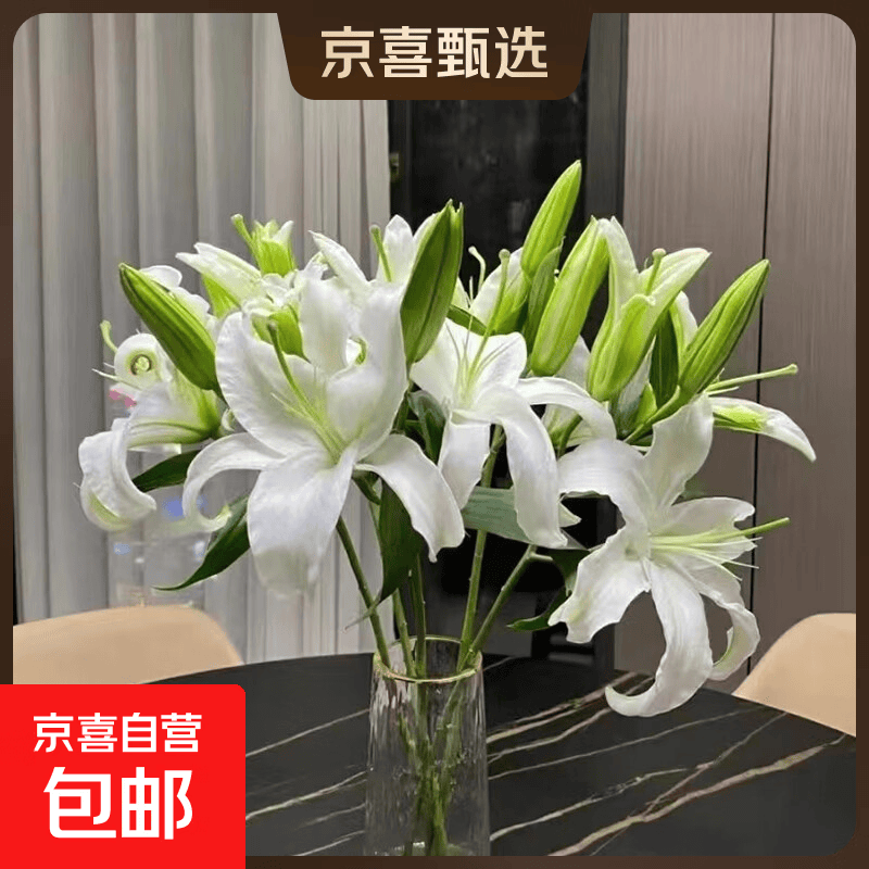 百合鲜切花云南基地直发水养插花母亲节520送妈妈  爱人暖心礼物 白色香水百合20朵