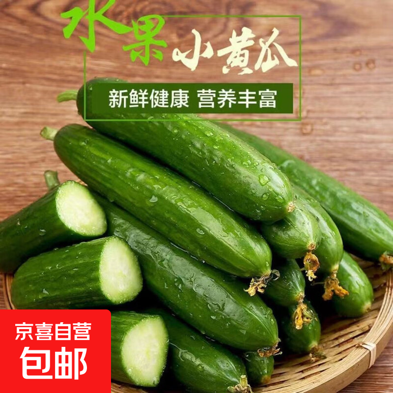 【新鲜采摘】小黄瓜水果寿光农家新鲜清甜可口生吃当季脆甜无刺 水果小黄瓜新摘4斤装净重3.7斤单果70g+