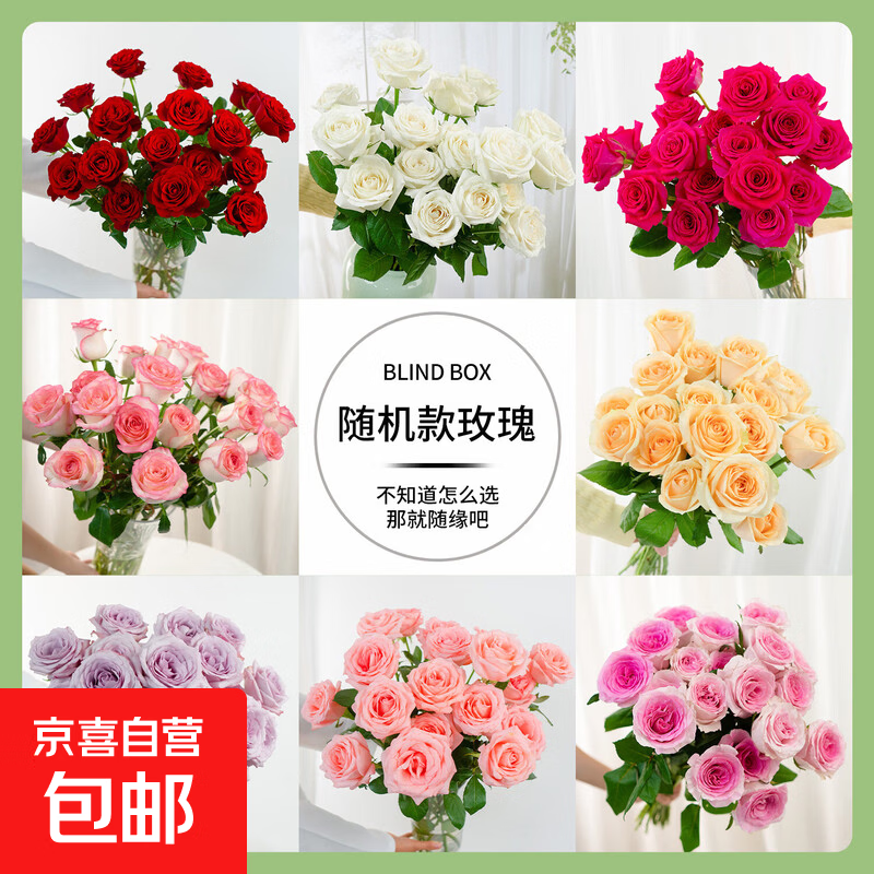 【鲜花送美人】鲜花生活鲜花昆明鲜花直发2 【限量】随机色玫瑰10枝40-45cm