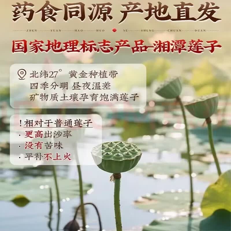 同仁堂（TRT）特级湘潭道地大粒白莲子中药材莲米祛湿补气血无硫软糯易煮鲜莲子 大粒白莲子 280g*2罐 甜糯绵密