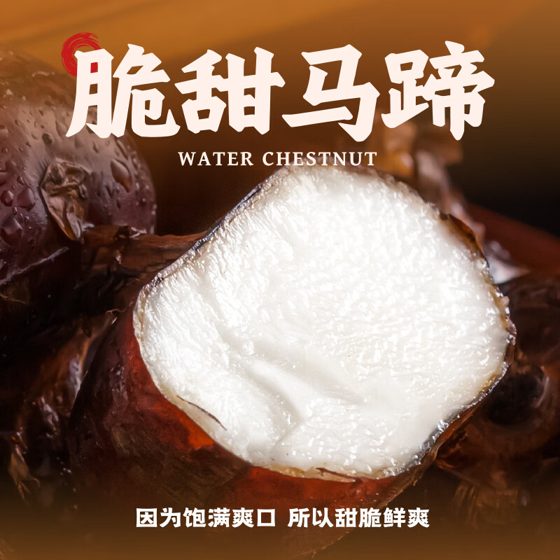 袁记味享袁记云饺 【新品上市】经典/马蹄冬菇/玉米紫菜鲜肉云吞拼盘组合 马蹄冬菇375g*2+玉米鲜肉*1+鲜肉*1+香菇木耳鸡肉*1