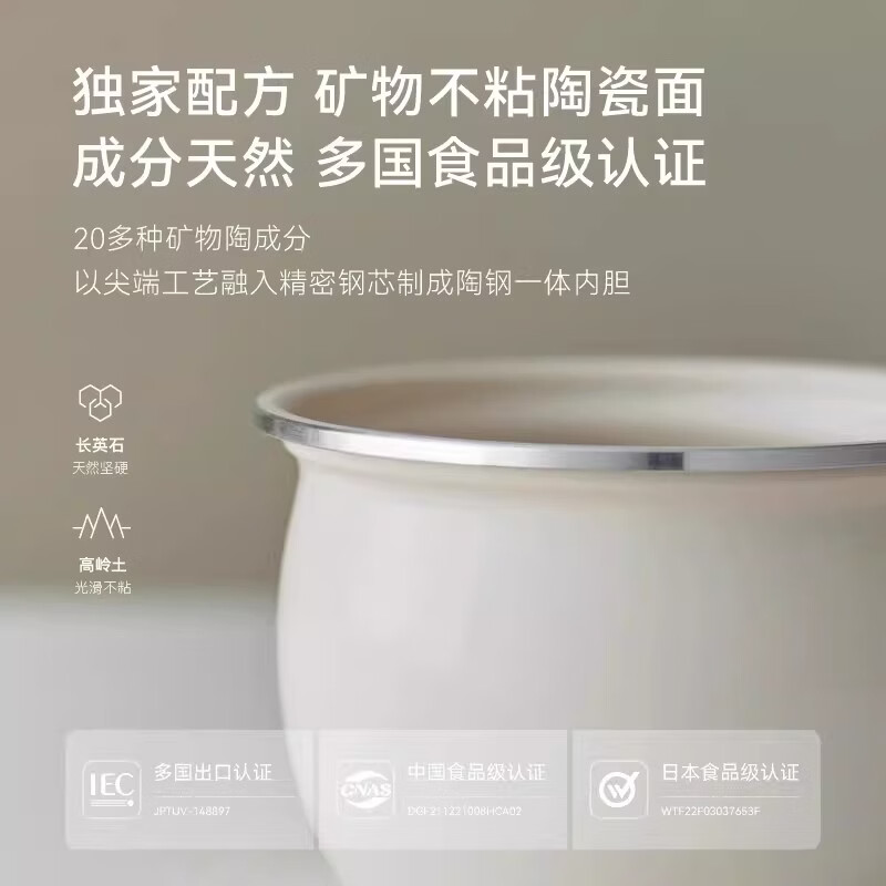 班贝特德国Bambetel电压力锅不粘陶瓷内胆高压锅小型多功能电饭煲 2.5L 【岩黑双胆】2-4人陶瓷釉压力锅 2.5L