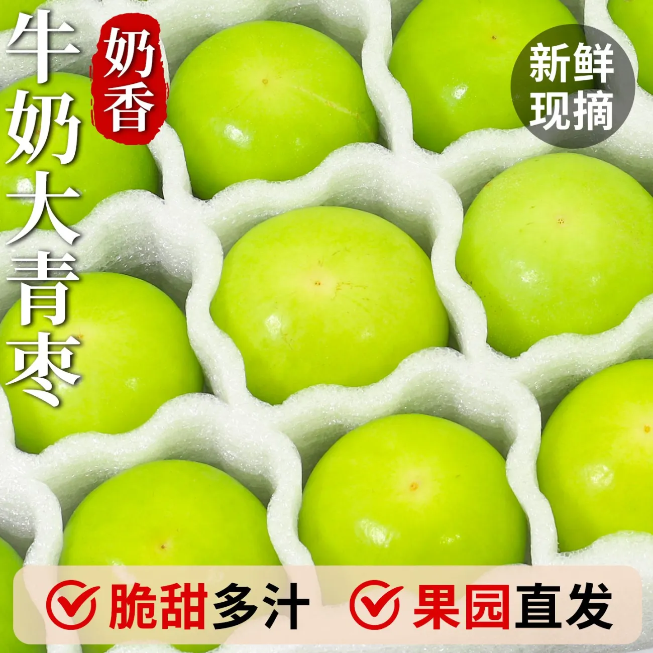 福建牛奶枣大青枣新鲜采摘现发清甜爽口水果果园甄选 5斤 60-120g（精选果【脆甜多汁 全家爱吃】）