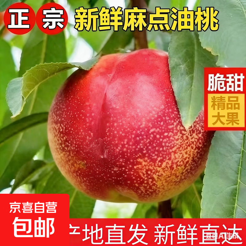 山东油桃新鲜大桃子应季孕妇水果香甜脆多汁蜜桃 带箱1斤 净重0.7斤（约3-5个）