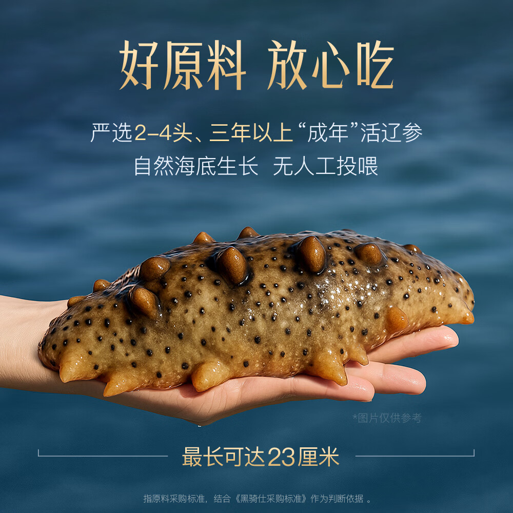 黑骑仕 鲜蒸海参【胡兵推荐】黑骑仕鲜蒸海参17g双周套餐滋补品大连辽参 【双口味套餐-好礼加赠】17g*14支（7+7）