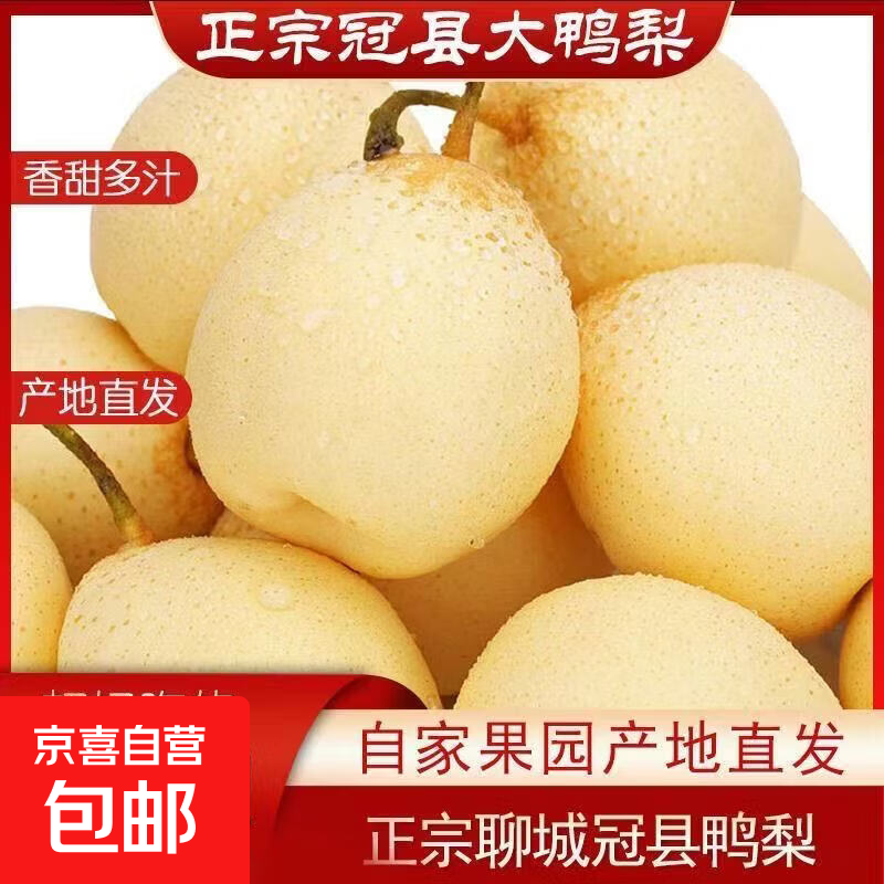 京喜加河北正宗鸭梨新鲜当季梨子皮薄水脆多汁 大果300克起 带箱5斤净重4.5斤）
