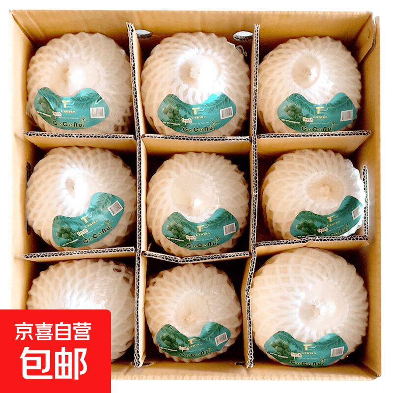 泰国进口香水椰青新鲜椰子9个装中果(单果净重800g） 泰国进口香水椰青1个装