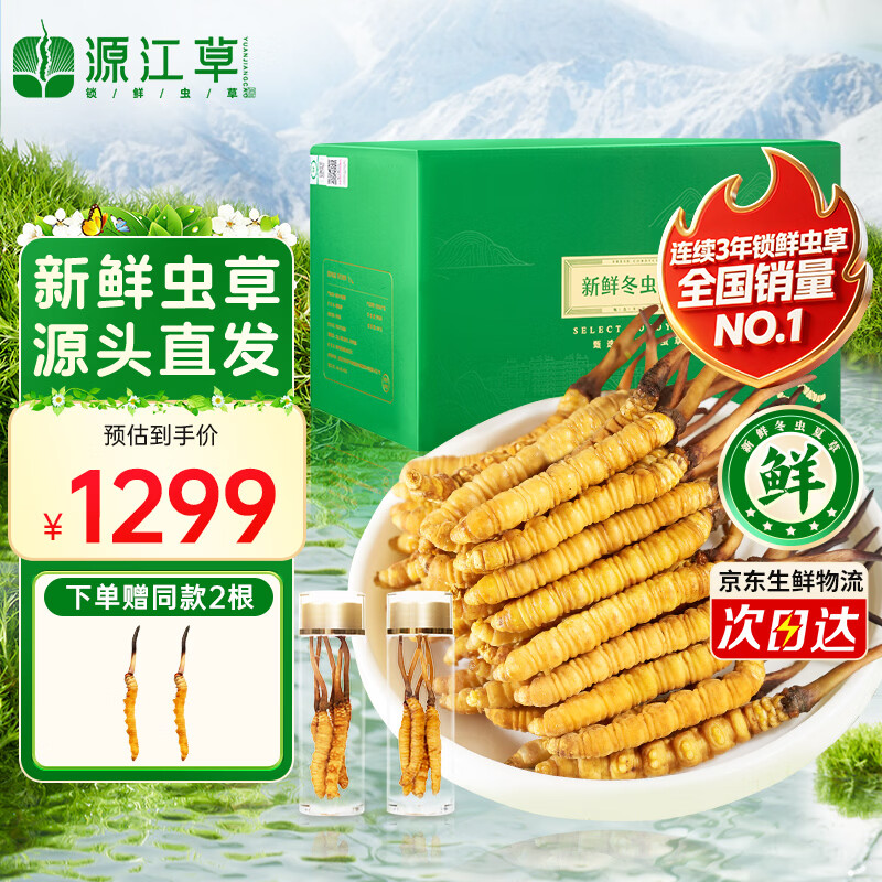 源江草冬虫夏草鲜草 2026头茬鲜虫草滋补品1.0~1.1克/根 30根 源头直发