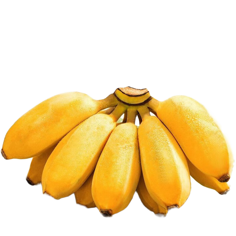 ����¼С�׽�����10ˮ��Ŵ�׽���С�㽶���������ȴ�����С�׽� 2500g 25Ԫ