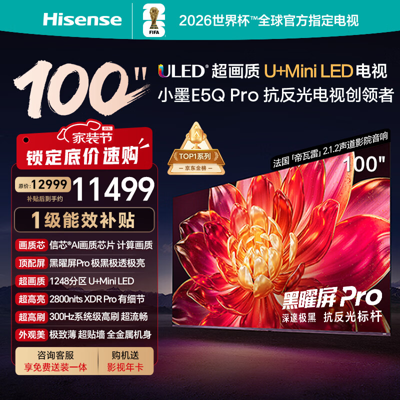海信电视小墨E5Q Pro 100吋 1248分区U+MiniLED 信芯芯片极黑极透黑曜屏Pro国家补贴世界杯100E5Q-PRO