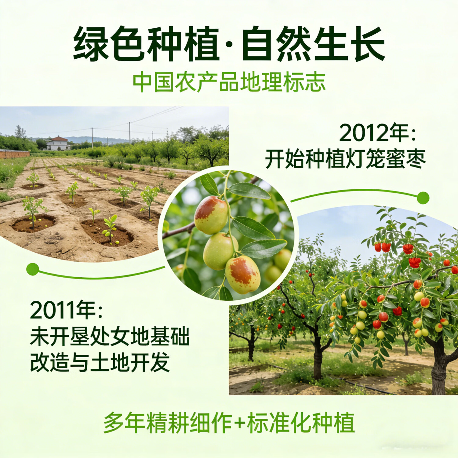 亚通古孜新疆和田大枣 一级灯笼蜜枣免洗红枣 坚果孕妇补气血零食红枣礼盒 灯笼蜜枣一级果260g*2袋