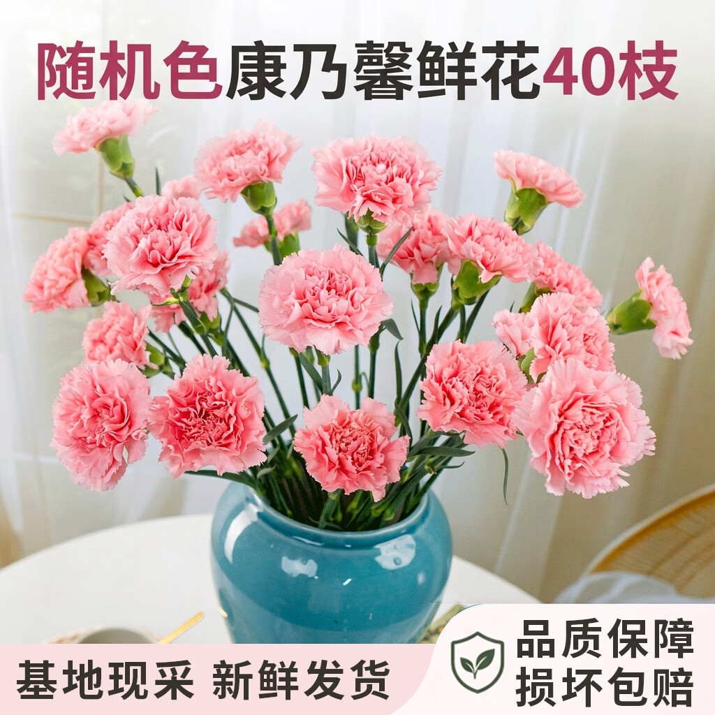 18.8元到手40枝云南直发康乃馨，一网情深鲜花超值福利