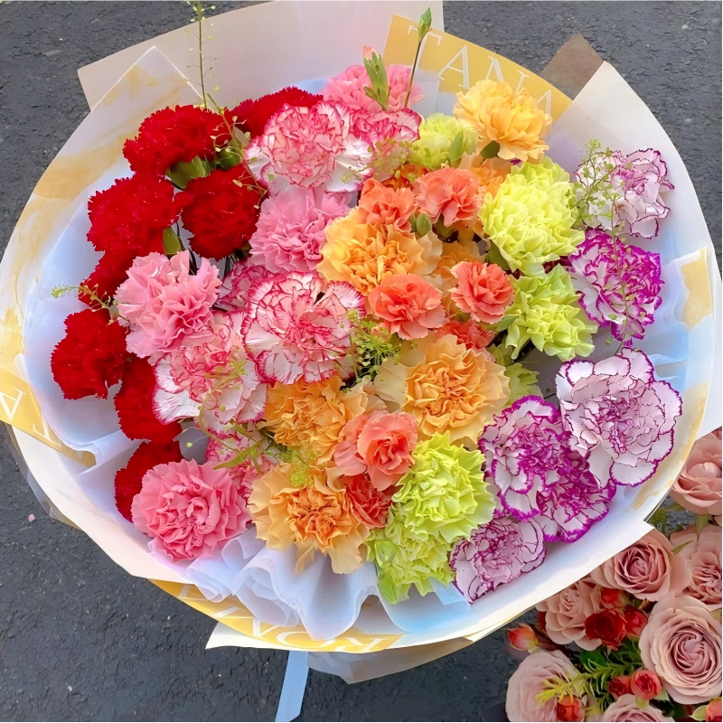 与花同行康乃馨鲜花花束批发室内办公室家居阳台水养斗南基地直发 【20支】随机单色康乃馨 颜色种类随机款