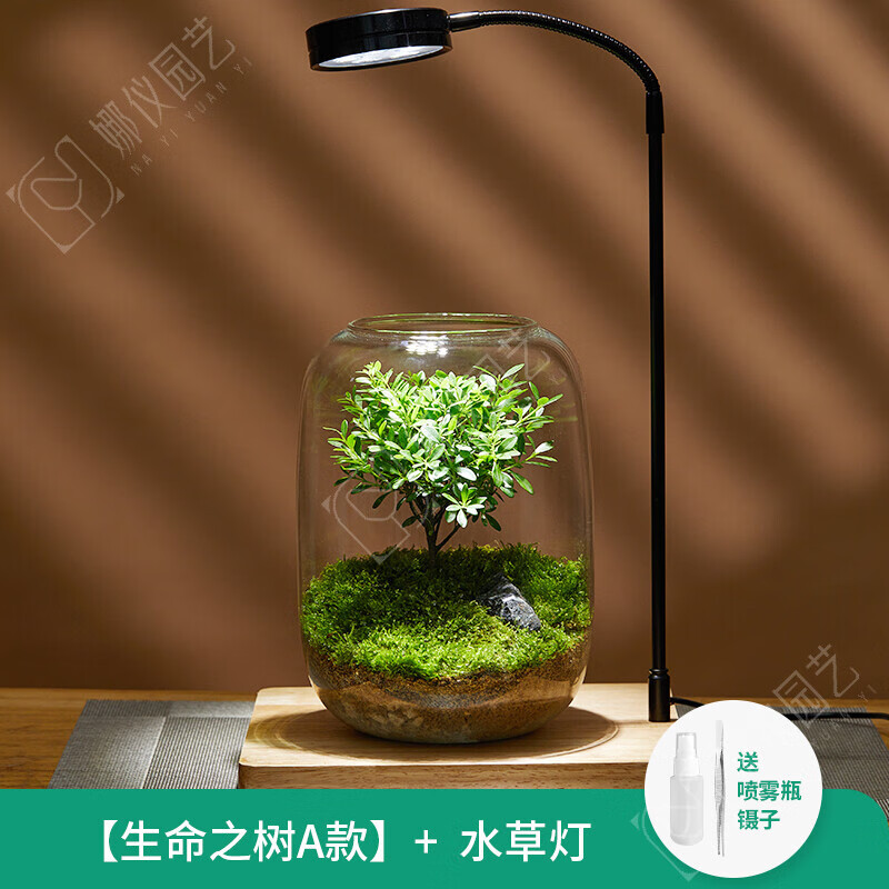 微景观生态瓶生命之树苔藓创意桌面盆栽青苔造景植物办公室内绿植 生命之树赤楠+植物灯-成品发货 带盆栽好怎么看?