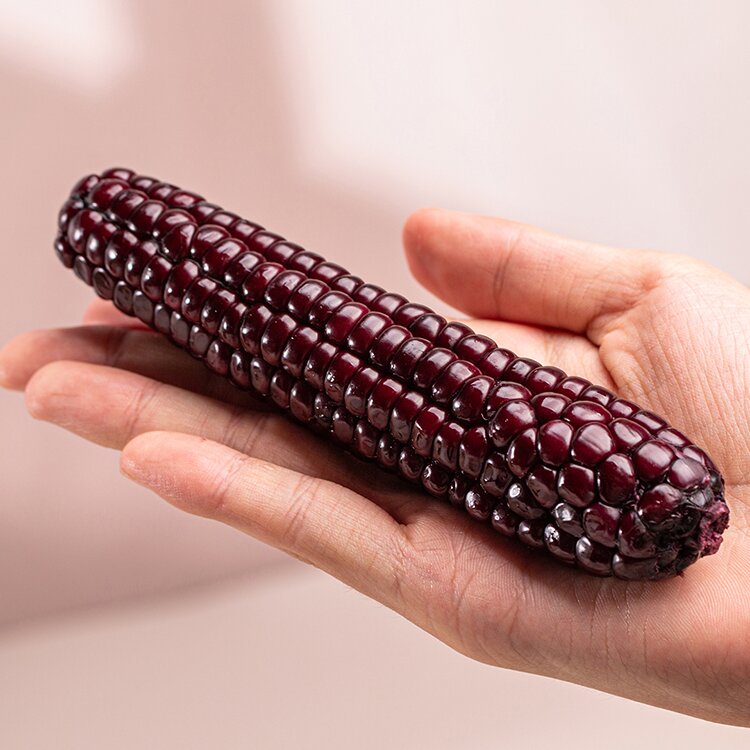 彩云之南西双版纳紫拇指小玉米自然生长新鲜现摘现发玉米真空包装 紫拇指小玉米1公斤/箱（16-20根） （礼盒装）