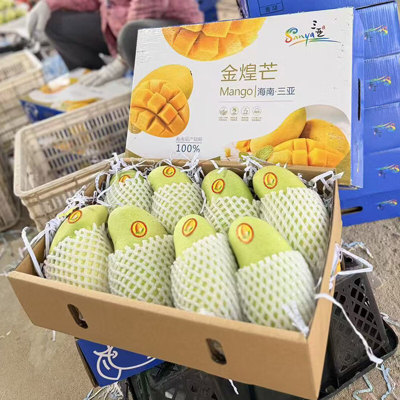 芒果 海南三亚金煌芒 个大肉厚香甜 大青芒 当季热带水果礼盒装 8斤礼盒装