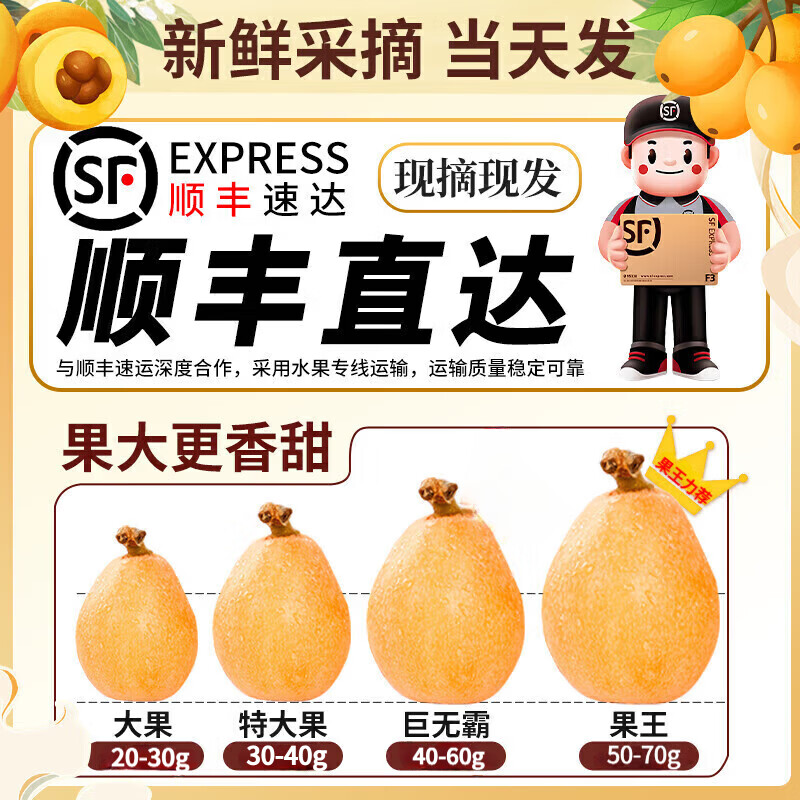 四川米易五星大枇杷水果礼盒高山现摘现发当季新鲜纯甜琵琶特大果 1.4斤礼箱装【90%品尝后选择5斤装】净重1斤  A+级商超果【单果20-30g】【JD顺丰多地次日达】