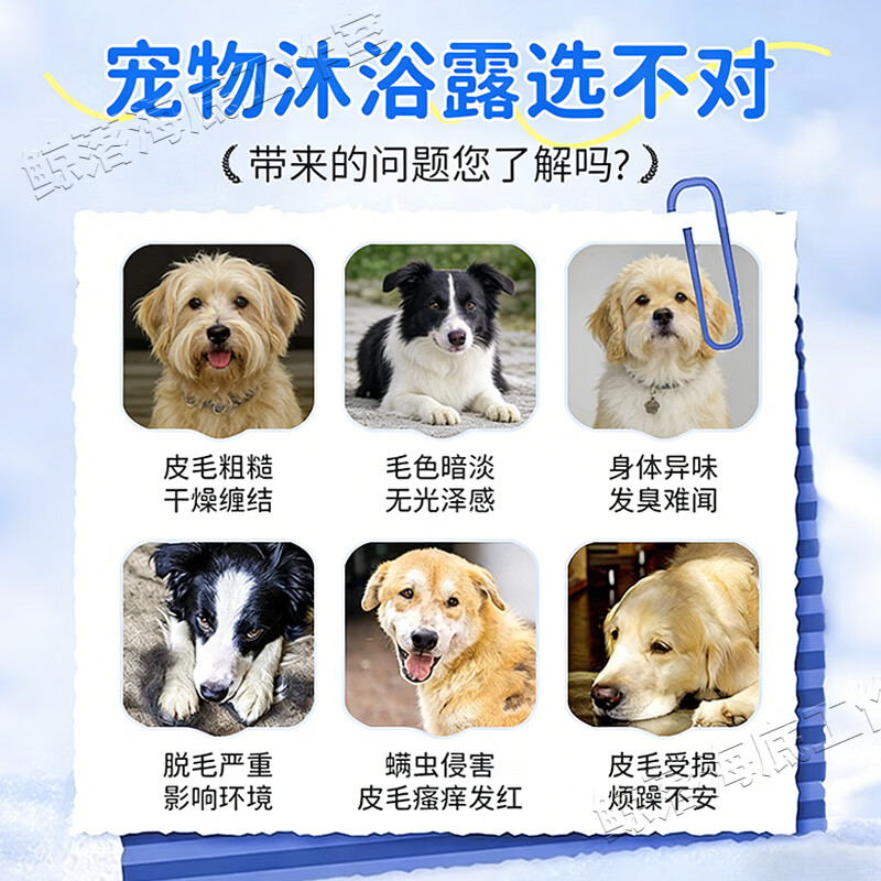 SHUERKE狗狗沐浴露驱虫持久除臭清洁止痒除螨留香洗护二合一抑菌子小犬用 500ml 1瓶 【除螨抑菌沐浴露】 金毛法斗洗澡宠物店进口大桶瓶装皮肤病真菌感染